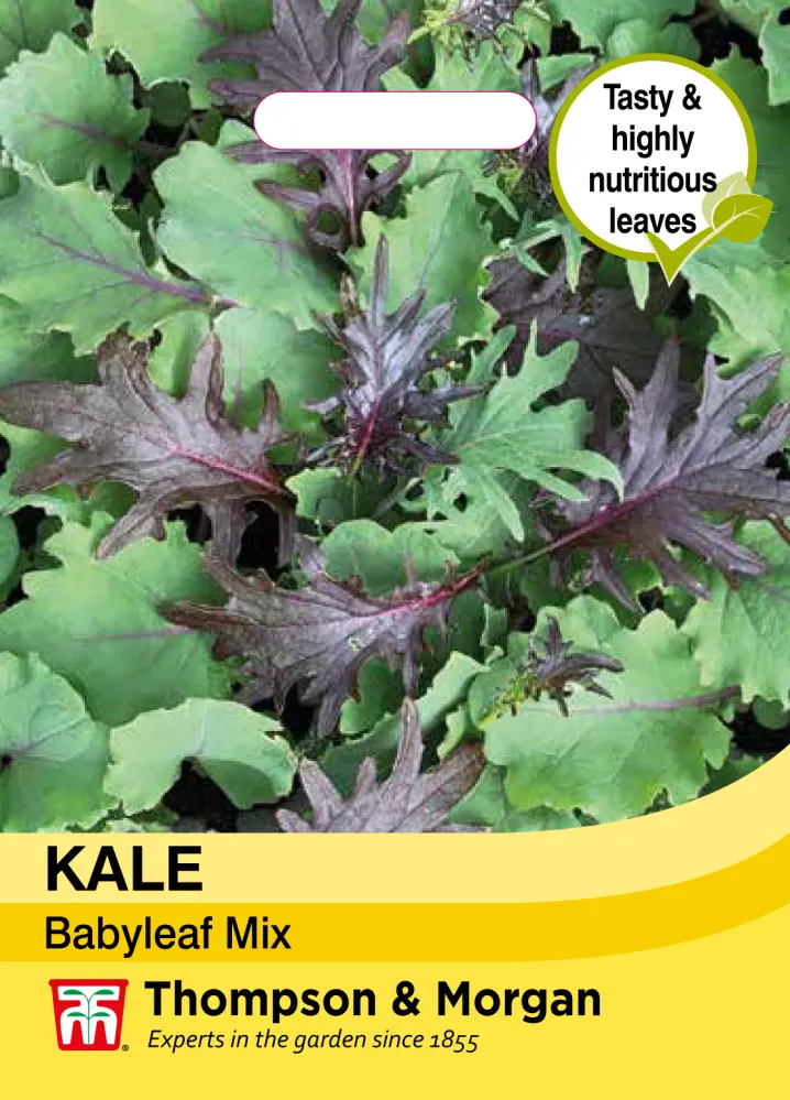 Kale Babyleaf Mix - Cowell's Garden Centre | Woolsington