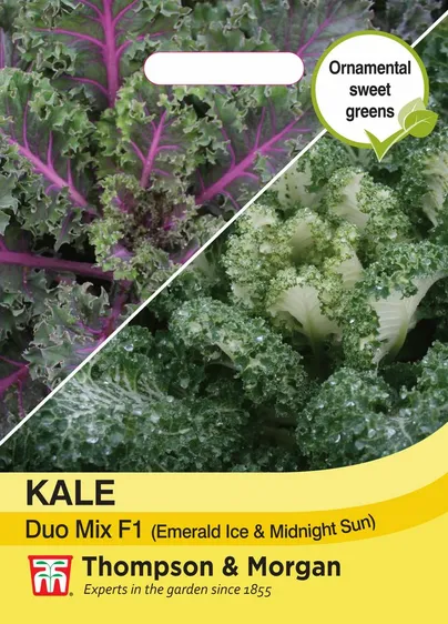 Kale Duo Mix (Emerald Ice &  Midnight Sun) - image 1