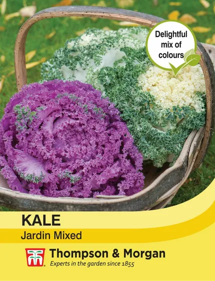 Kale Jardin Mixed - image 1