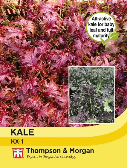 Kale KX -1 - image 1