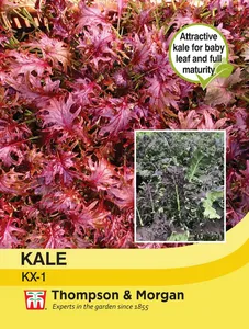 Kale KX -1 - image 1