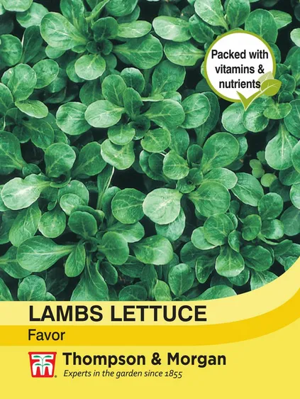 Lambs Lettuce Favor - image 1