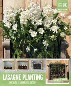 Lasagne Planting Bulb Set - Shades of White