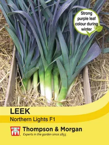 Leek Northern Lights F1 - image 1