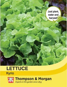 Lettuce Kyrio - image 1