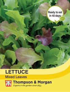 Lettuce Leaves Mixed - image 1