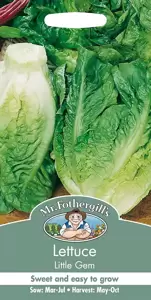 Lettuce Little Gem - image 1