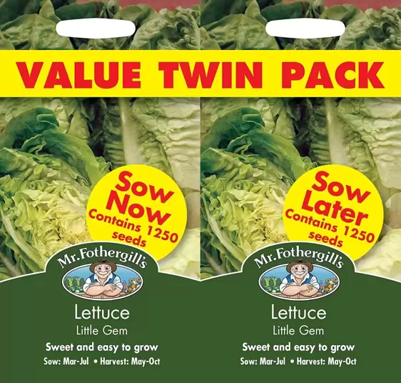 Lettuce Little Gem Bumper Pack - image 1