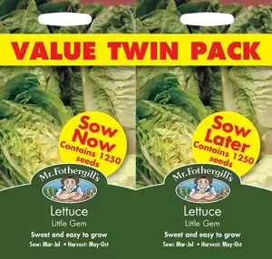 Lettuce Little Gem Bumper Pack - image 1