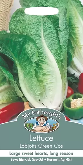 Lettuce Lobjoits Green Cos - image 1
