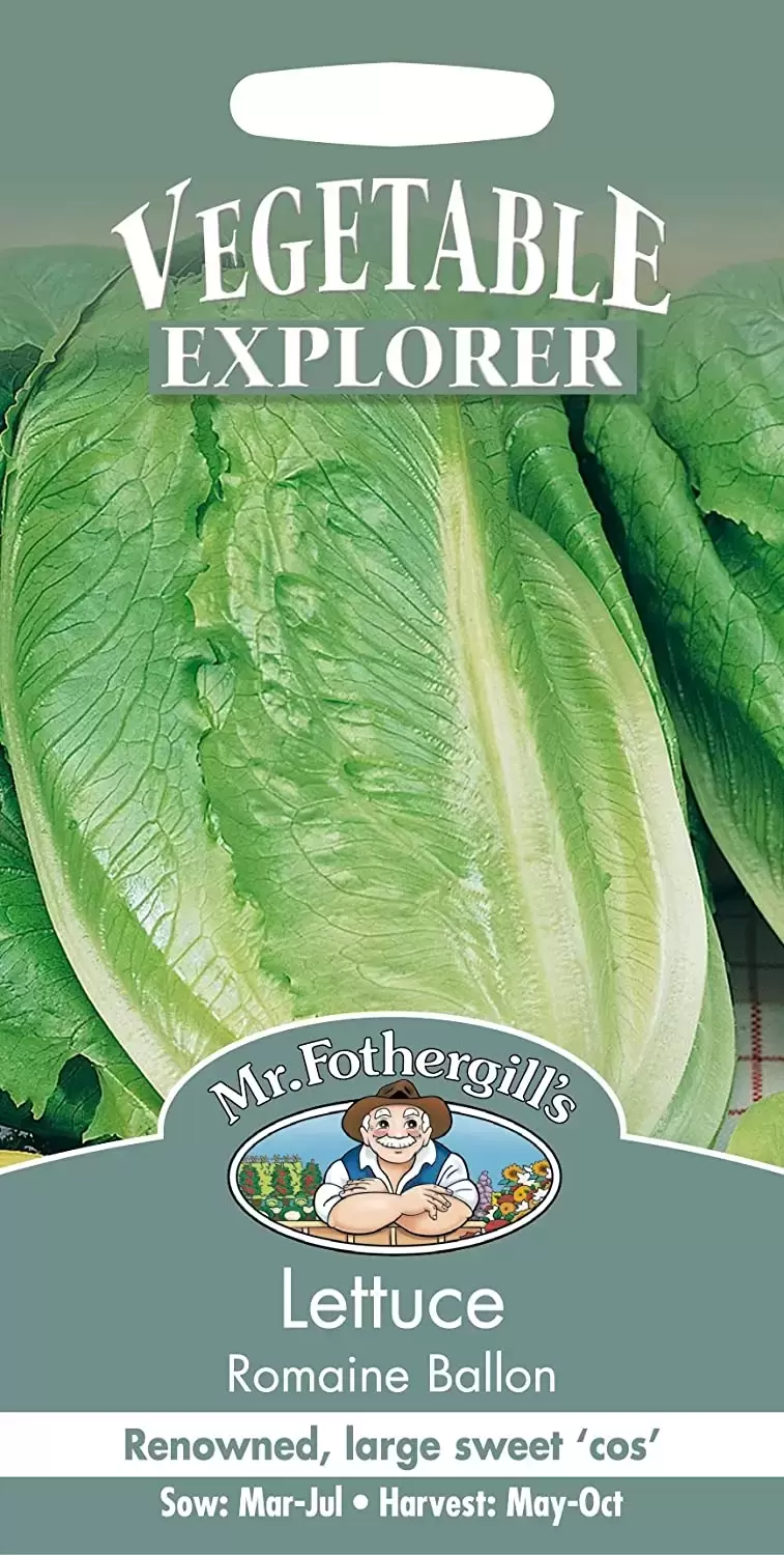 Lettuce Romaine Ballon - Cowell's Garden Centre | Woolsington