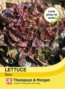 Lettuce Saxo - image 1