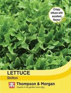Lettuce Skilton - image 1