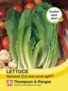 Lettuce Valmaine - image 1