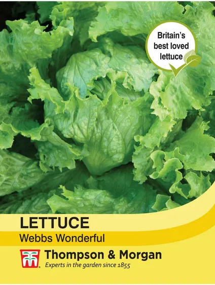 Lettuce Webbs Wonderful - image 1
