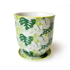 Liberte Monstera Pot & Saucer