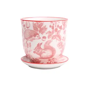 Liberte Red Squirrels Pot & Saucer