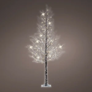 Light Up Bare Branch Real Effect Tree - Small