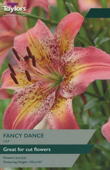 Lily Fancy Dance