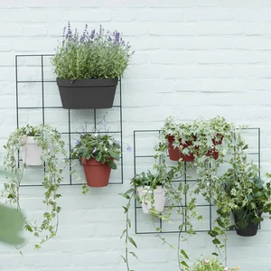 elho Loft Urban Green Wall Rack - image 2