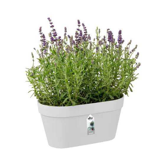 elho Loft Urban Green White Duo Wall Pot - image 2