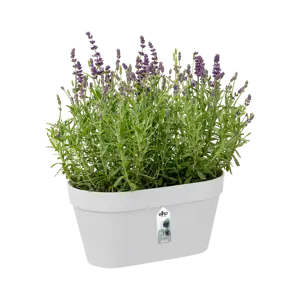 elho Loft Urban Green White Duo Wall Pot - image 2