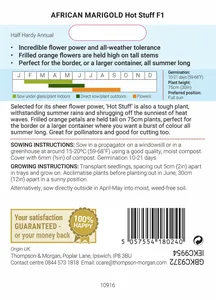 Marigold (African) Hot Stuff F1 - image 2
