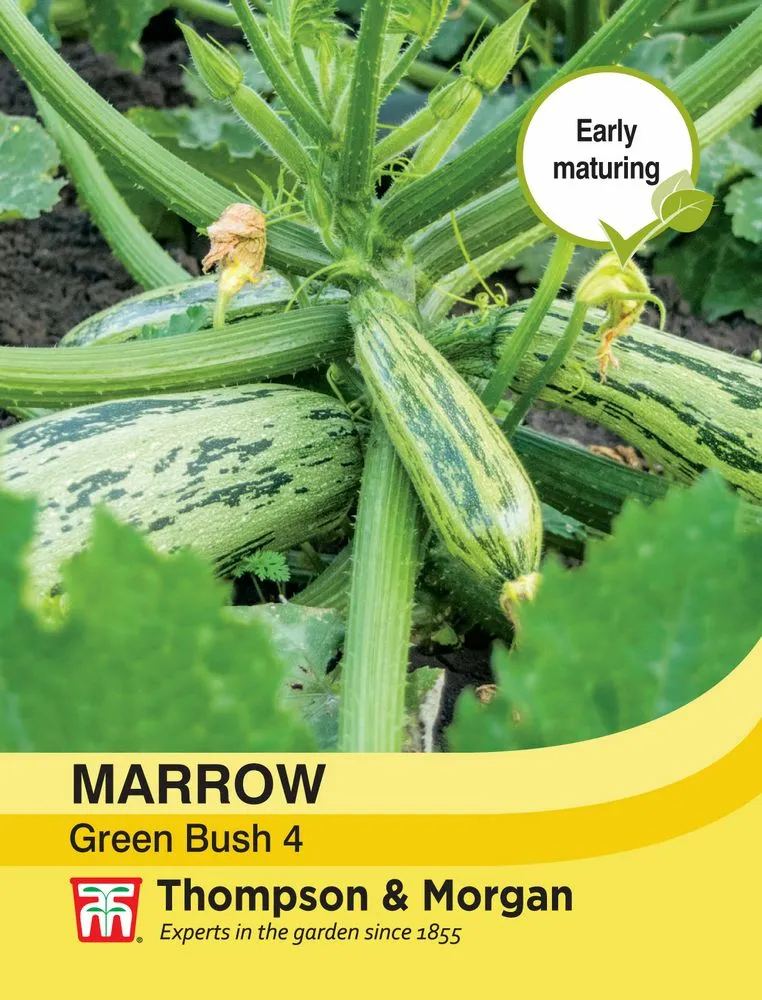 Marrow Green Bush 4 - Cowell's Garden Centre | Woolsington