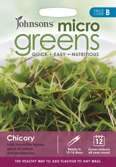 Microgreens Chicory