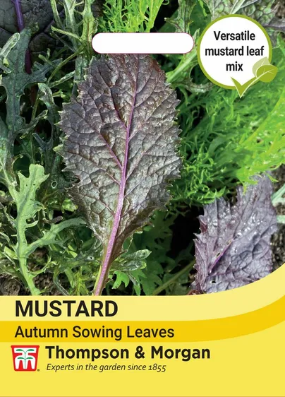 Mustard Leaves (Autumn sowing) - image 1