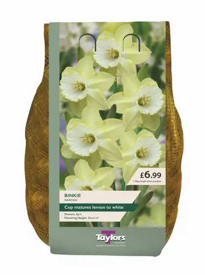 Narcissi Binkie Carri-Pack