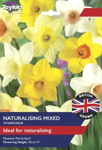 Narcissi Naturalising Mix