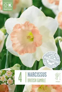 Narcissus British Gamble