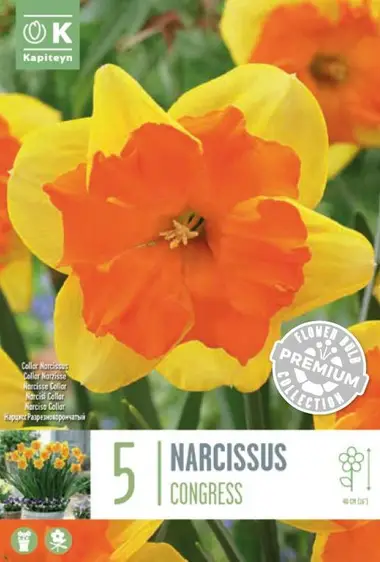 Narcissus Congress