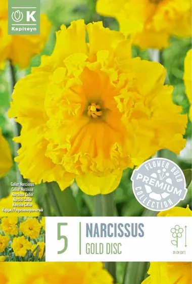 Narcissus Gold Disc