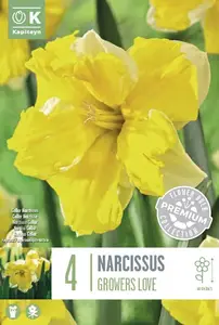 Narcissus Grower's Love