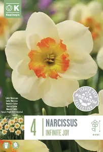 Narcissus Infinite Joy