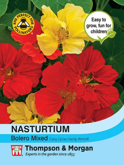 Nasturtium Bolero Mixed - image 1