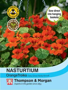 Nasturtium Orange Troika - image 1