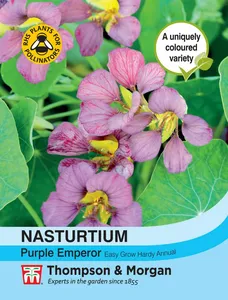 Nasturtium Purple Emperor - image 1