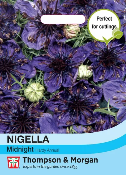 Nigella Midnight - image 1