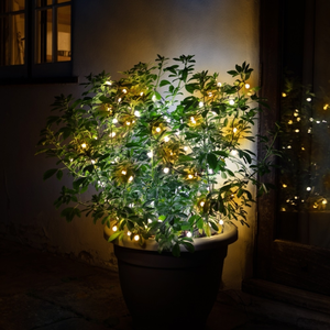 Noma Duo Colour Berry String Lights