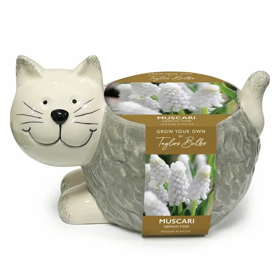 Novelty Cat Planter