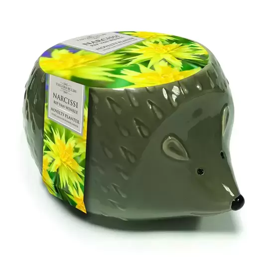 Novelty Hedgehog Planter