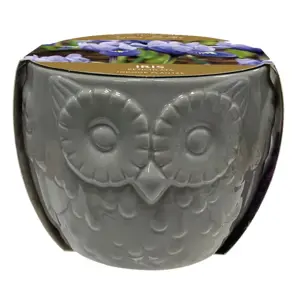 Novelty Owl Planter