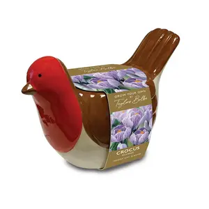 Novelty Robin Planter