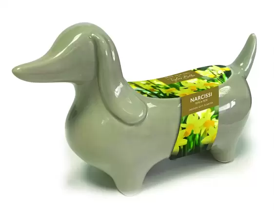 Novelty Sausage Dog Planter