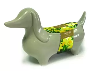 Novelty Sausage Dog Planter