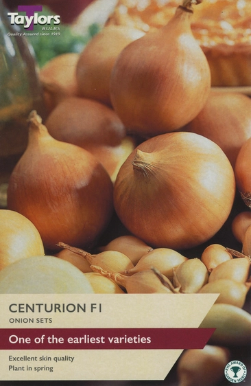 Onion Centurion