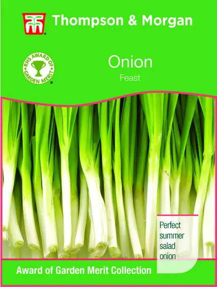 Onion Feast - image 1